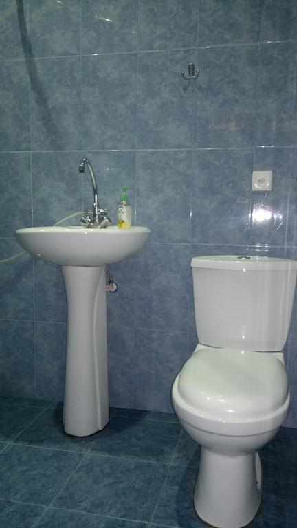 Guest House Besarioni Borjomi Rom bilde
