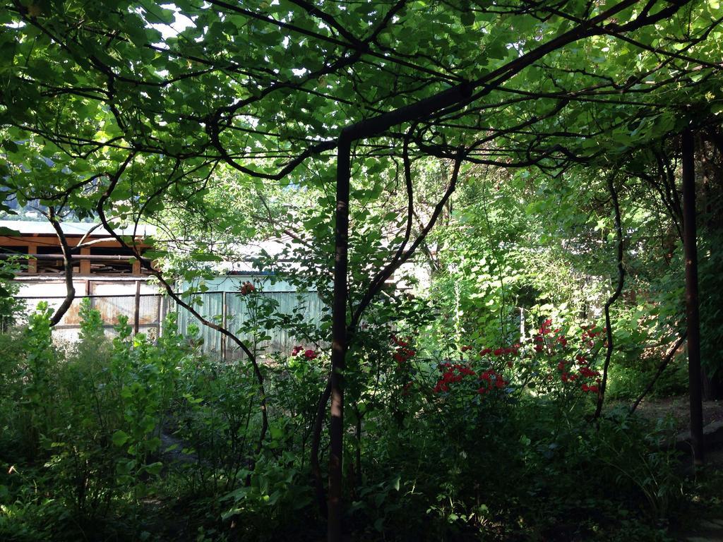 Guest House Besarioni Borjomi Eksteriør bilde